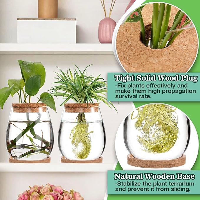Plants Propagation Station - 2Pcs Desktop Plant Terrarium Glass Hydroponic Vases, Water Plant Propagating Jars, Gardening Gifts for Women Mom Plant Lovers (Water Drop Shape, Separated Tray Style)