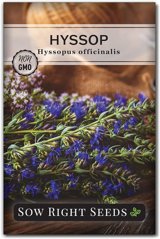 Sow Right Seeds - Hyssop Seed for Planting - Medicinal Herb to Plant in Your Garden - Outdoors - Attracts Pollinators - Stunning Purple Flowers - Non-GMO Heirloom Seeds - Great Gardening Gift (1)