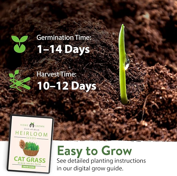 HOME GROWN 1 Pound Cat Grass Seeds for Indoor Cats & Pets - Ready to Eat in 7 Days - Quick & Easy to Grow, Cat Grass for Digestion & Hairballs, 100% Non-GMO Heirloom Oat Barley Seeds