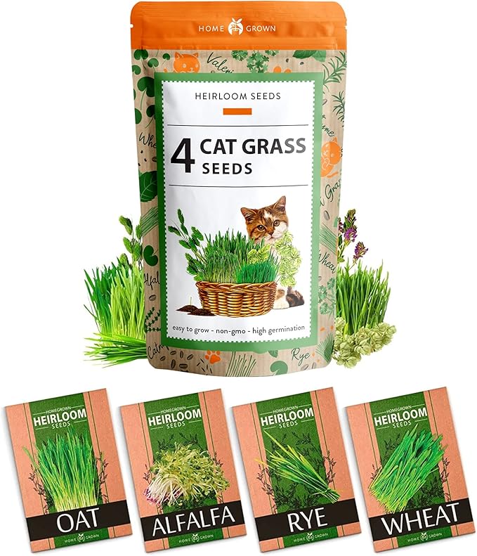 HOME GROWN Cat Grass Seeds - Grow Cat Grass for Indoor Cats - Cat Grass Seeds Bulk - Refill Cat Growing Grass Kit - Heirloom Cat Grass Seed (Cat Grass - 4pack)