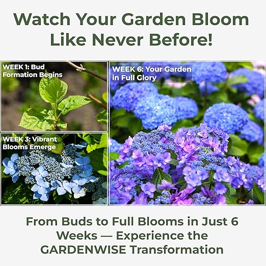 Slow Release Hydrangea Fertilizer with Iron & Sulfur – Indoor & Outdoor Soil Acidifier for Miracle Growth (1/2 qt)