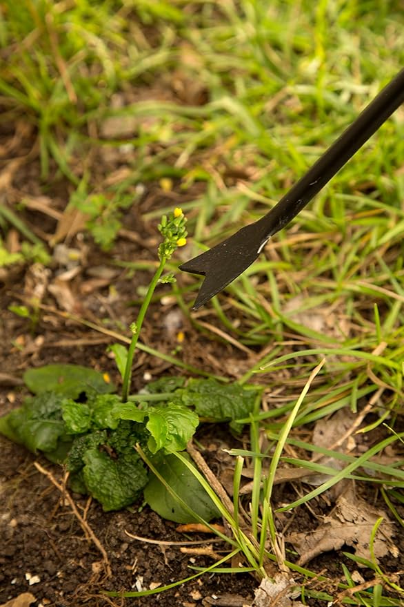 Ames COMPANIES THE 2942100 Forg Dandelion Weeder