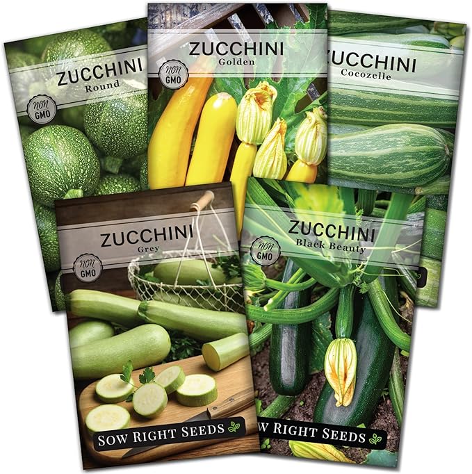 Sow Right Seeds - Zucchini Squash Seed Collection for Planting - Black Beauty, Grey, Round, Golden, and Cocozelle - Non-GMO Heirloom Packet to Plant a Vegetable Garden - Productive Summer Squash