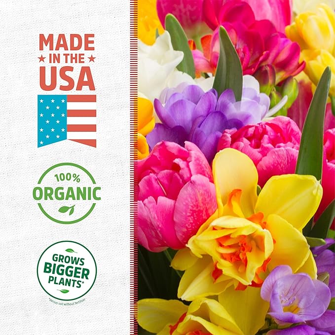 Back to the Roots 100% Organic Bone Meal | Made in The USA | Premium Nutrition for Indoor and Outdoor Plants