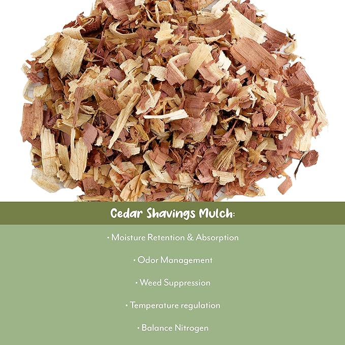 Natural Cedar Shavings Mulch/Bedding (4 Quarts), Garden Mulch and Small Animal Pet Bedding