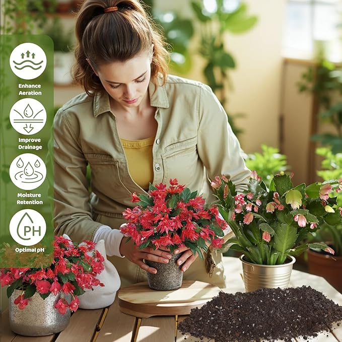 Christmas Cactus Potting Soil Mix 4qt, Ideal for Succulents, Christmas Cacti, and Other Indoor Potted Plantings