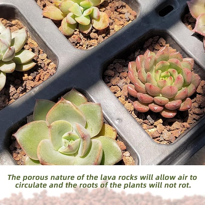 2.4LB Red Lava Rocks for Plants, Volcanic Rock Horticultural Lava Rock Soil for Landscaping Plants Drainage, Small Lava Rock Gravel for Succulents, Bonsai, Vase Fillers, Terrarium Plants, Top Dressing