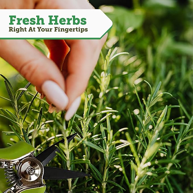 VegTrug 8 Pocket Herb Garden, Wooden Herb Planter with Herb Snips, Natural