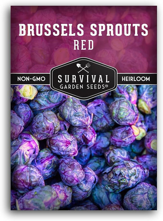 Red Brussels Sprouts Seed for Planting - 1 Packet with Instructions to Plant & Grow Unique Brassica Plants in Your Home Vegetable Garden- Non-GMO Heirloom Variety Seed - Survival Garden Seeds
