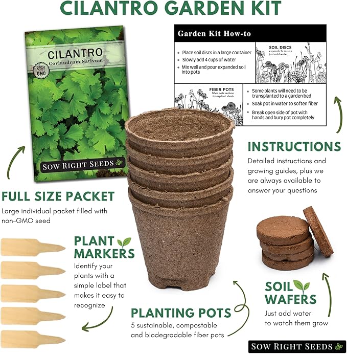 Sow Right Seeds - Cilantro Seeds for Planting Indoors - Grow your own Herbs Kit - Includes Pots & Potting Soil - Non-GMO Packet with Instructions - Fresh or Dried Herbs in the Kitchen - Gardening Gift