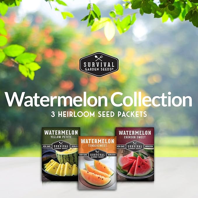Survival Garden Seeds Tri-Color Watermelon Collection - 3 Packs of Fruit Seeds for Growing Watermelons - Yellow Petite, Crimson Sweet (Red) & Tendersweet Orange Varieties - Non-GMO Heirloom Mix
