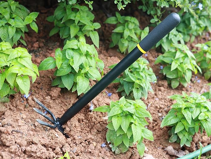 4PCS Garden Tools Set with 2-in-1 Tool Hoe/Cultivator Dual Head; Willow Leaf-Shaped Seeding Widger Gardening Trowel; Protective Gloves and Pruning Shear