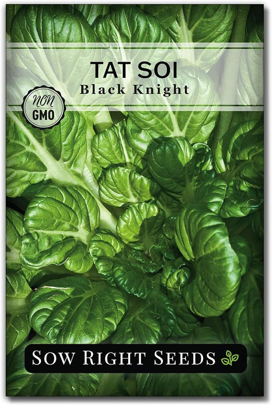 Sow Right Seeds - Black Knight Tat SOI Seeds for Planting - Non-GMO Heirloom Packet with Instructions to Plant a Home Vegetable Garden - Chinese Mustard Greens for Cooking - Dark Leafy Green (1)