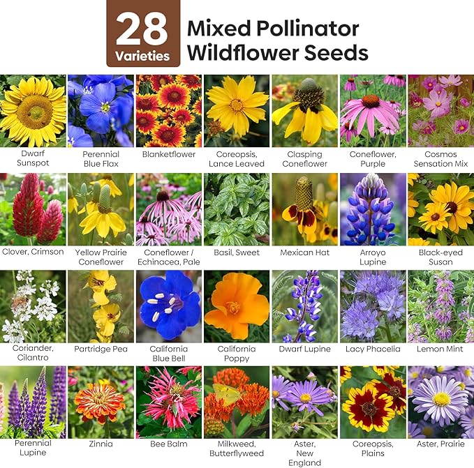 Wildflower Seeds Mix, 2 Oz, 50,000+ Seeds, 28 Varieties Flowers Seeds for Planting, Annual Perennial Garden Seeds to Attract Bees, Butterflies & Birds