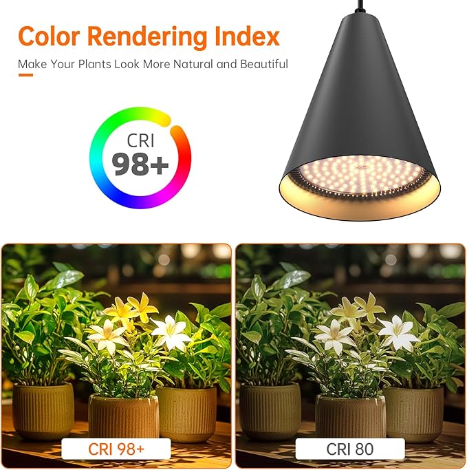 50W Double-Head Hanging Grow Lights for Indoor Plants, 3000K, Black LED Plant Light Bulbs with Timer and 16.4FT Power Cord, Perfect for Tall Plants, Gardens, Flowers, and Greenhouses
