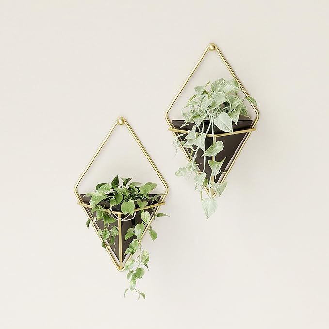 Umbra Trigg Hanging Planter Vase Wall Decor, Set of 2 Pots Containers for Succulents, Cactus, Faux Plants, and More, Small, Black/Brass