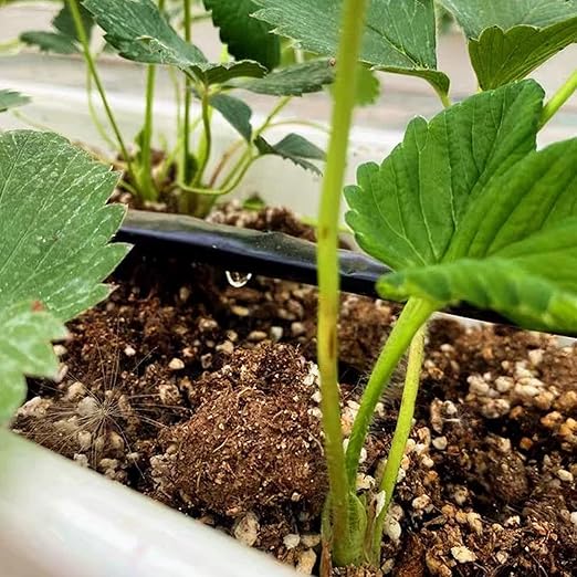 5/8" Drip Tape 1010FT, 6" Spacing Roll,16 Mil Garden Irrigation Tubing Hose, Adjustable Drip Tape Irrigation, Automatic Drip Irrigation System for Flowers, Plants, Fruits, 0.75 GPH/Hole