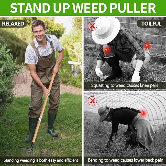 Stand Up Weed Puller with Long Handle ,Weed Puller Tool with 4-Claw Steel Head & 3-Sectioal Pole Design,Garden Hand Weeder Tool -Easily Remove Weeds and Root Without Bending, Pulling,or Kneeling