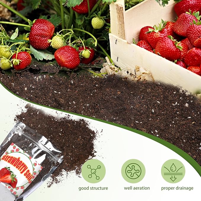 Organic Strawberry Soil Mix 1qt, Indoor Plants Potting Mix for All Potted Strawberry, Grow Healthy houseplants Indoors