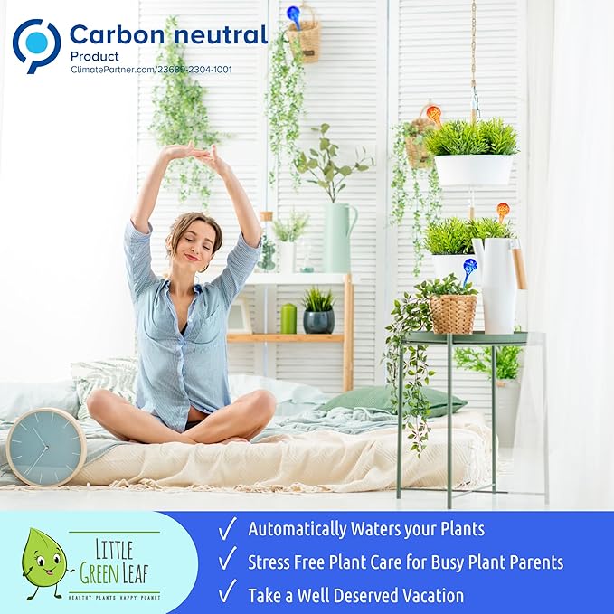 LGL Plant Watering Globes - 2 Pieces Clear Rainbow. Decorative Self Watering Planter Inserts. Hand-Blown Durable Glass. Ideal Plant Lover Gift (2pk Medium)