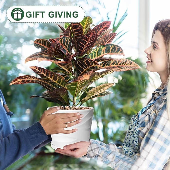 6.7 + 5.5 Inch Plant Pot, Ceramic Planter with Drainage and Saucer，Ceramic Pots for Plants, Indoor Plant pots，Succulent Orchid Flower Pot(Pure White)