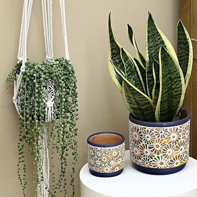 3 Piece Ceramic Plant Pots, 5.7/4.7/3.5/inch Planters with Drainage Hole, Outdoor Indoor Flower Pots Set, Modern Decorative Plant Pots for Lilies, Cacti, Succulents, Snakes, Bamboo(Blue)