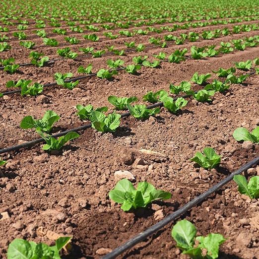 5/8" Drip Tape 3281FT, 6" Spacing Roll,16 Mil Garden Irrigation Tubing Hose, Adjustable Drip Tape Irrigation, Automatic Drip Irrigation System for Flowers, Plants, Fruits, 0.75 GPH/Hole