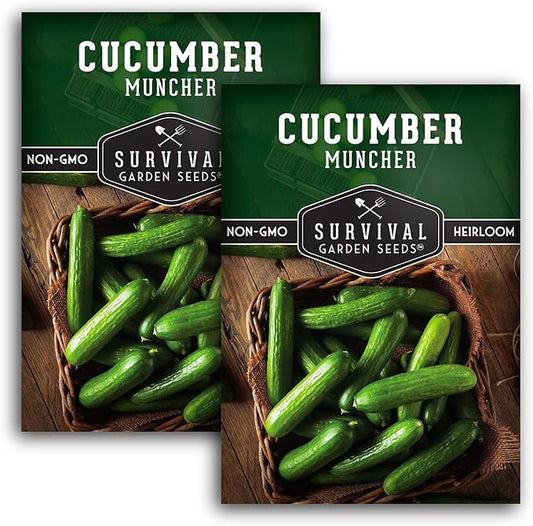 2 Packs Muncher Cucumber Seed for Planting - Packet with Instructions to Grow Burpless Slicing Cucumbers in Your Home Vegetable Garden - Non-GMO Heirloom Variety - Survival Garden Seeds