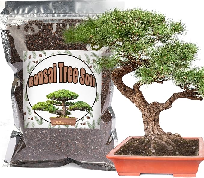 Bonsai Soil Mix 10qt Ready to Use, Organic Bonsai Tree Soil Fits for Small Bonsai Pot, Suitable for Bonsai Seedling, Repotting, or Bonsai Starter Kit