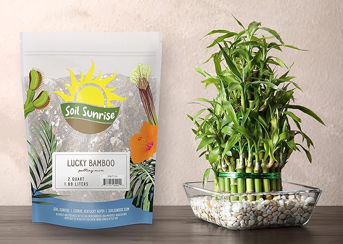 Lucky Bamboo Plant Potting Mix (2 Quarts), Custom Soil Mix for Repotting