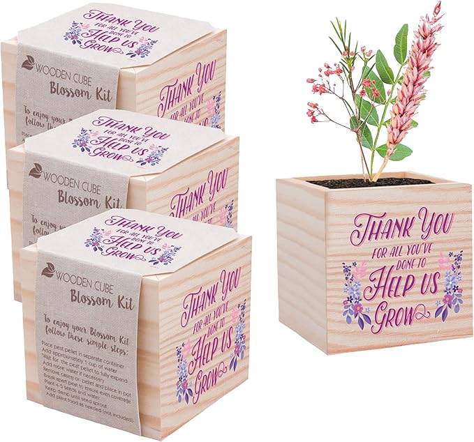 Cheersville! Desk Plant for Home or Office Decor - Growing Kit - Appreciation Plant Cube - Parent (Thank You for Helping Us Grow - 3 Pack)
