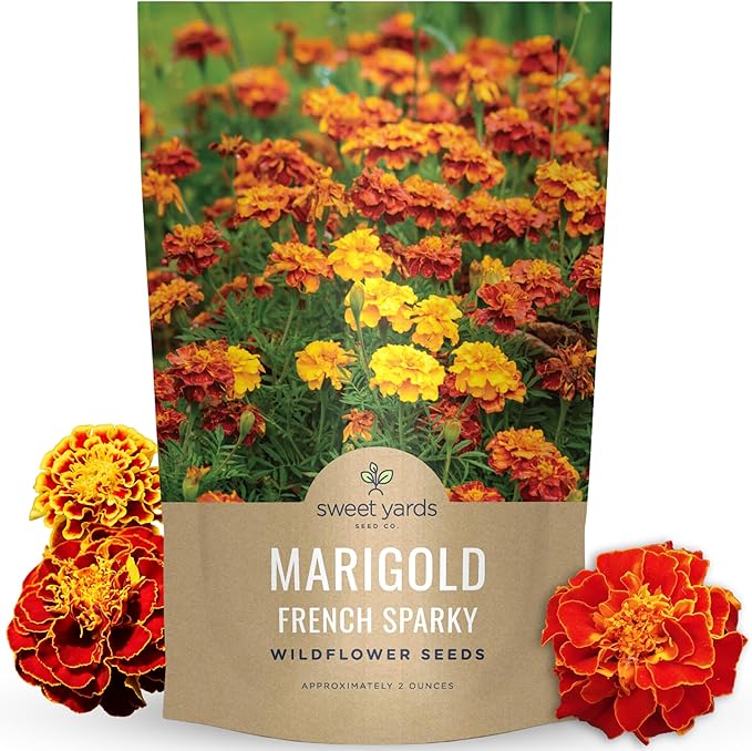 Marigold French Sparky - Bulk 2 Ounce Pouch - 15,000 Flower Seeds for Planting - Tagetes patula