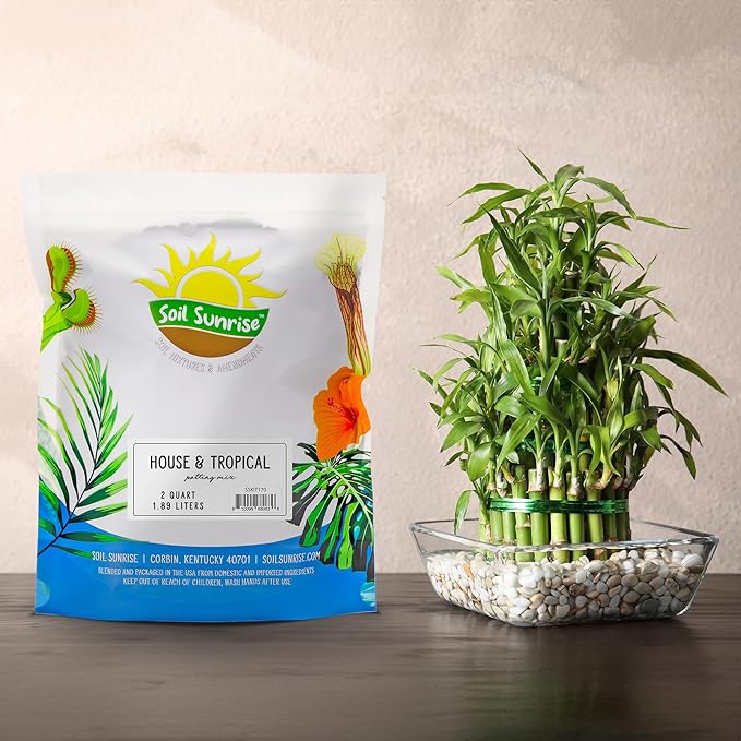 Tropical House Plant Potting Mix (2 Quarts); for All Types of Indoor House Plants