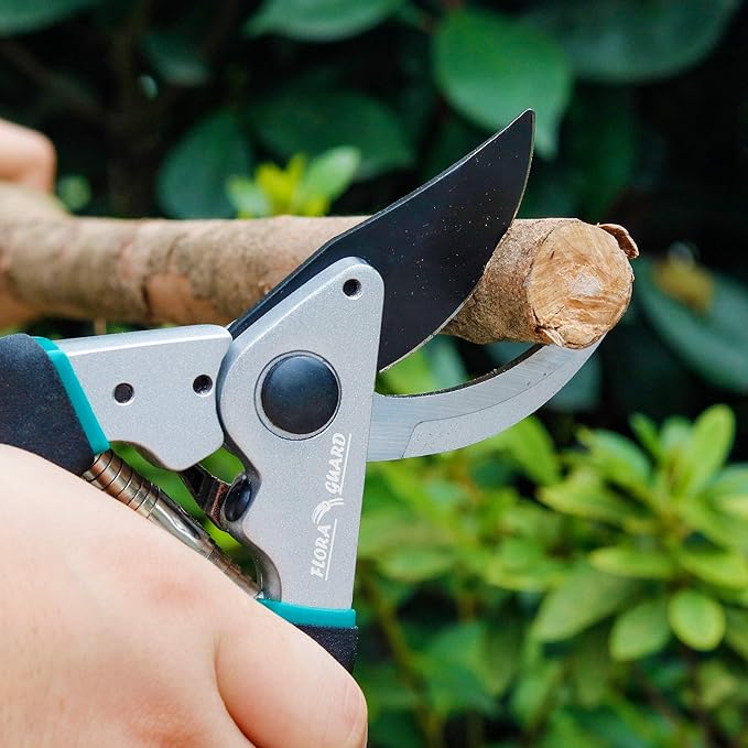 Flora Guard Pruning Shears 8.6" Bypass Garden Shears, Professional Ultra Sharp Sk5 Steel Garden Clippers, Heavy Duty Durable Ergonomic handle Plant Cutting Scissors Tools, Yard Hedge Branch Trimmer