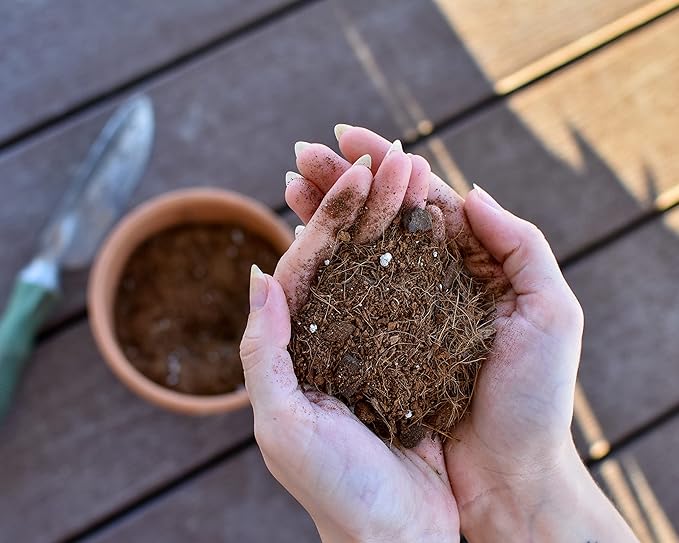 Planting Mix for Plant Propagation (4 Quarts), Hand Blended Soilless Mix for Propagating Plants, House Plants, and More