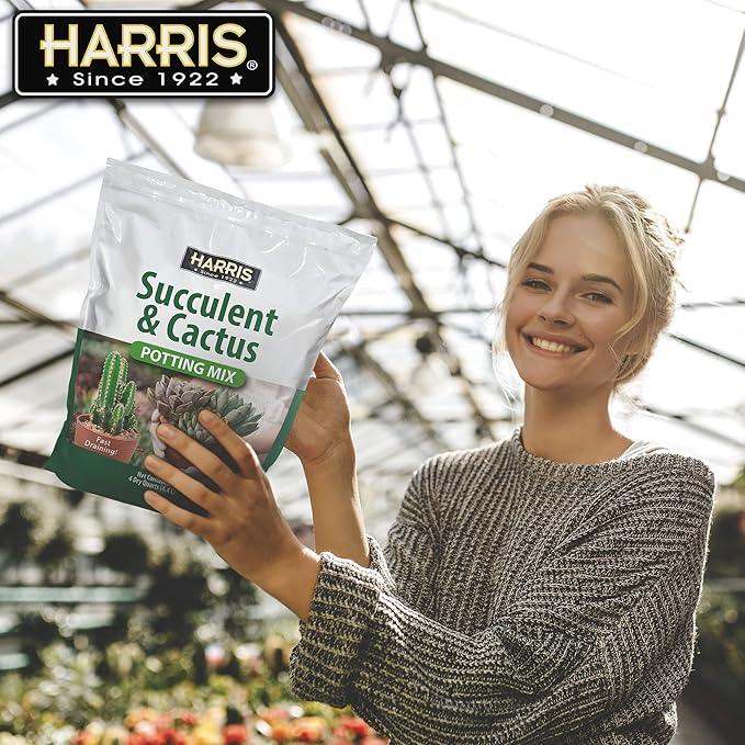 Harris Premium Succulent and Cactus Potting Soil Mix, Fast Draining with Added Nutrients, 4 Quarts