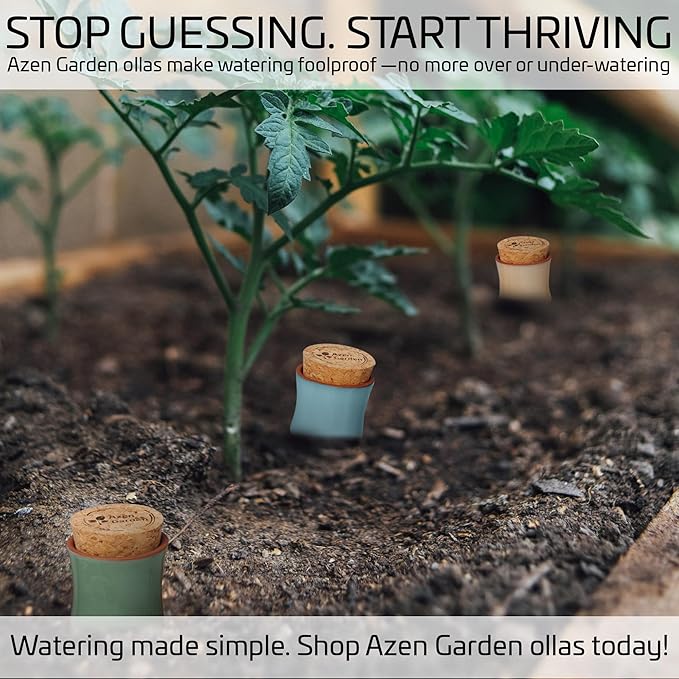 Ollas Plant Watering Globes - Terracotta Self Watering Planter Insert - Watering Bulbs for Outdoor and Indoor Plants with Easy Top Refill System - Set of 4