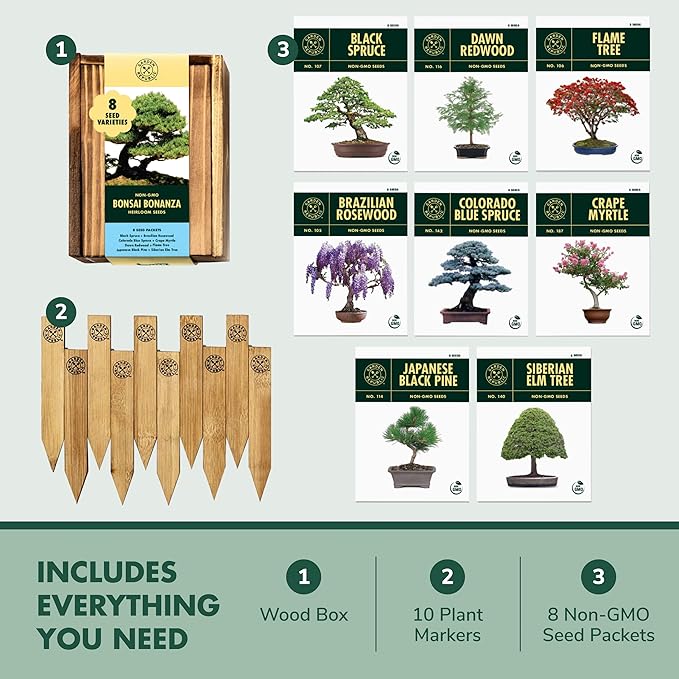 Bonsai Tree Seeds Kit - 8 Popular Varieties of Non GMO Mini Bonsai Trees, Bamboo Plant Markers, Wood Gift Box - Bonzie Tree Seed Starter Kits, Grow Bonzai Indoor, Fathers Day Gardening Gifts Idea