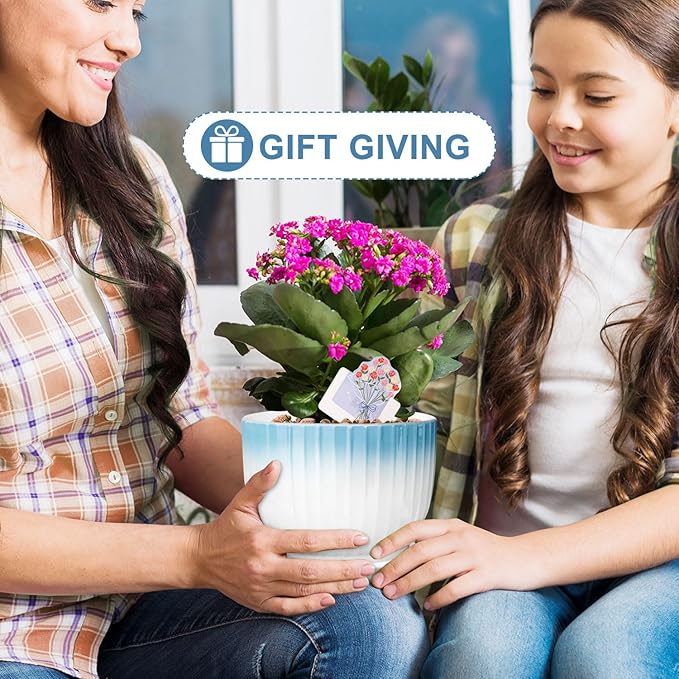 6.7 + 5.5 Inch Plant Pot, Ceramic Planter with Drainage and Saucer, Ceramic Pots for Plants, Indoor Plant pots,Ceramic Flower pots（Blue + White, Plants NOT Included）