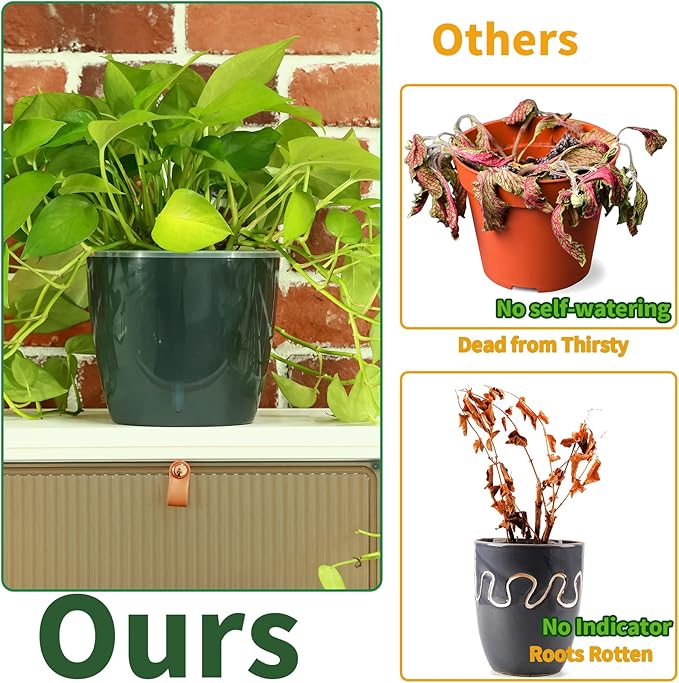 Planterhoma 6.7 Inch Self Watering Pots for Indoor Plants, 6 Packs African Violet Pots with Water Indicator and Black Wick Pots, Self Watering Planters for Devil's Ivy, Indoor Plant Pots, Grey Gold