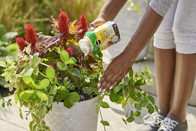 Miracle-Gro Water Soluble All Purpose and Shake 'N Feed Plant Food Bundle: Feeds Flowers, Vegetables, Trees, and Houseplants