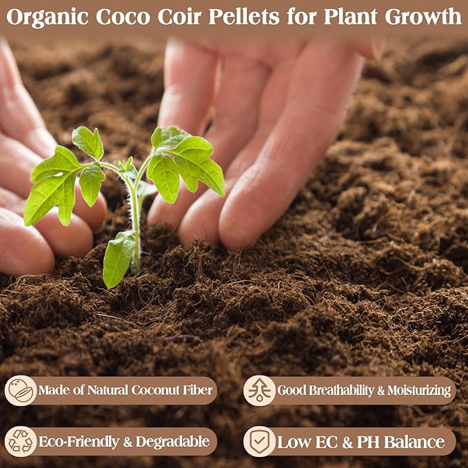 ZeeDix 100 Pcs (30mm) Compressed Coco Coir Fiber Potting Soil Seed Starters - Organic Coco Coir Pellet Fiber Soil for Planting Bonsai, Herbs, Plants, Flowers and Vegetables