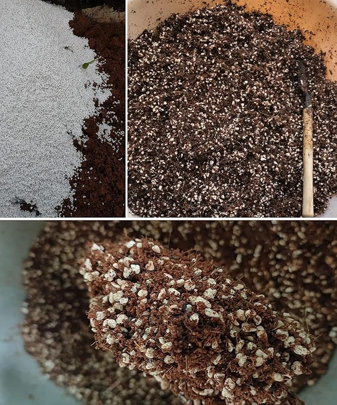 50 QT Professional Grade Horticultural Organic Vermiculite and Perlite (Perlite, 50 QT)