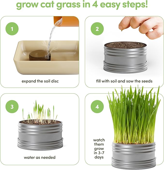 Grow Your Own Cat Grass for Indoor Cats Kit - 3 Complete Growing Kits - Plant Seeds, Pets Health Supplies Stuff - Gift for Pet Lover