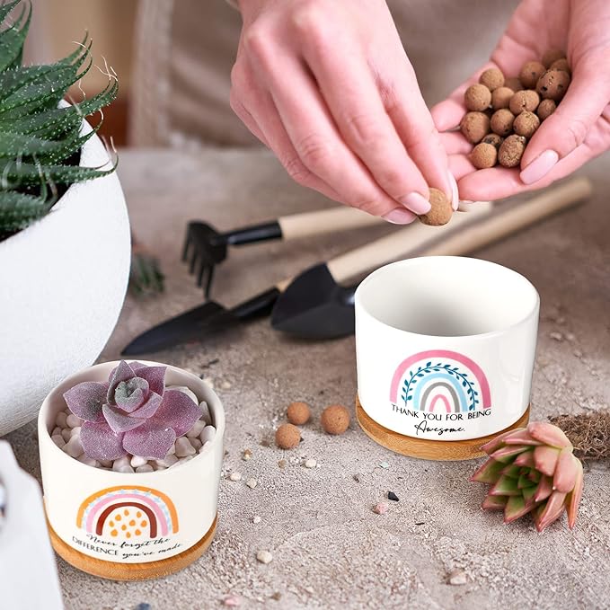 Sieral 6 Pcs Thank You Gift Appreciation Gift Succulent Pots Mini Ceramic Plant Pot with Bamboo Tray Succulent Planter for Coworker Employee Teacher School Counselor, Plants Excluded(Boho Style)