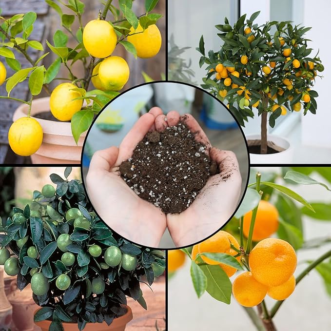 Citrus Tree Potting Soil Mix (30 Quarts), Special Blend for Indoor Oranges, Lemons, Limes and More