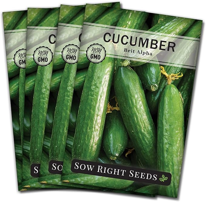 Sow Right Seeds - Beit Alpha Cucumber Seeds for Planting - Non-GMO Heirloom Packet with Instructions to Plant and Grow a Home Vegetable Garden - Start Indoors, Plant Outdoors with Trellis (4)