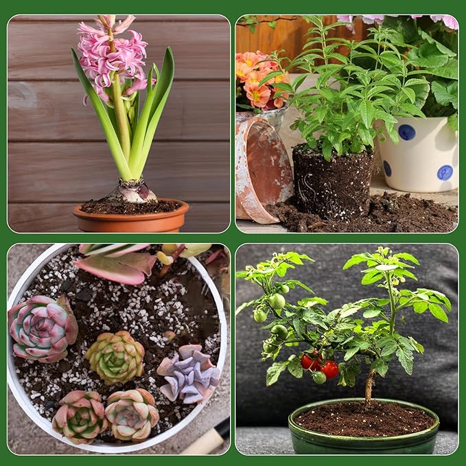 Organic Seed Starter Premium Potting Soil Mix 1qt, All Natural Seed Starter Mix for Fast Germination and Vigorous Seedlings with Strong Root Systems