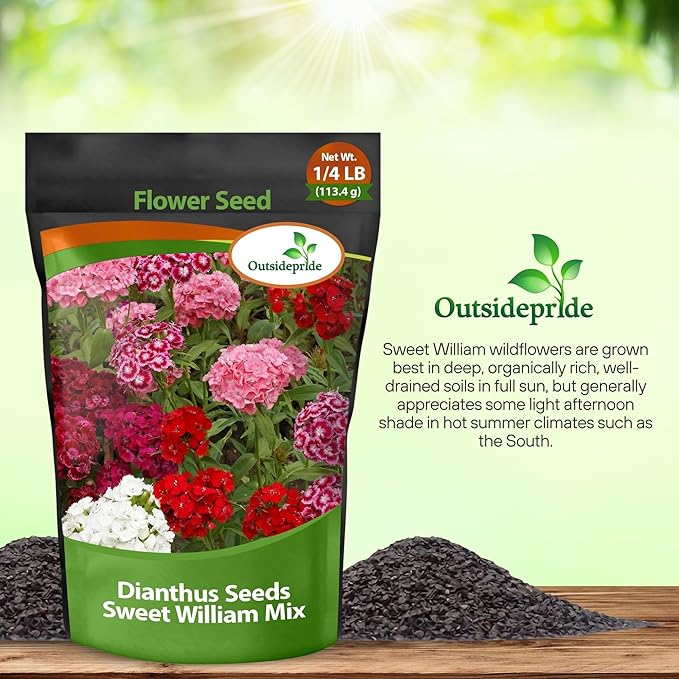Outsidepride Sweet William Dianthus Seeds - 1/4 Lb. Perennial, Winter Hardy Wildflower Seeds w/Fragrant & Vibrant Blooms, Ideal for Pollinator Gardens, Cut Flowers & Colorful Landscaping