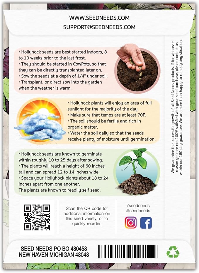 Seed Needs, Black Hollyhock Seeds - 100 Heirloom Seeds for Planting Alcea rosea - Great for Gothic Gardens, Open Pollinated Biennial That Attracts Pollinators (1 Pack)